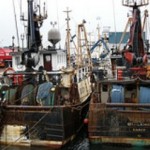 Fishing boats