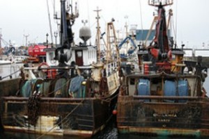 Fishing boats