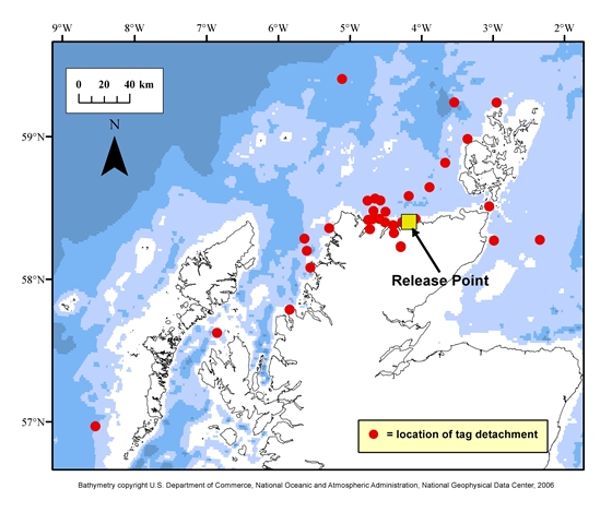 Bathymetry Copyright U.S Department of Commerce, National Oceanic and Atmospheric Administration. National Geophysical Data Center, 2006