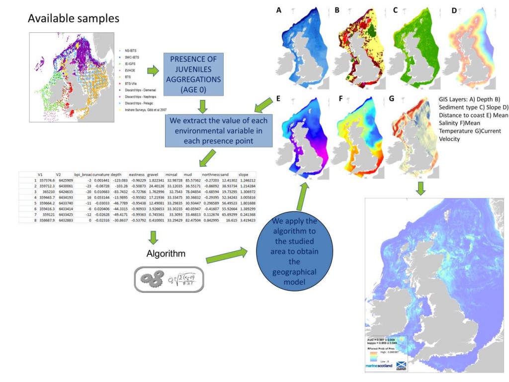 Species Distribution Model