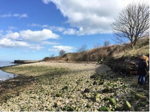 Beach clean at Torry, Aberdeen (copyright of Tim Poole, SEPA)