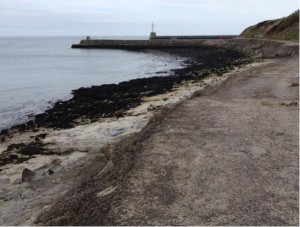 Lighthouse and clean beach