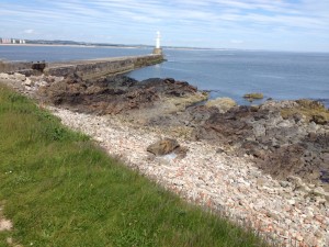 Torry Battery