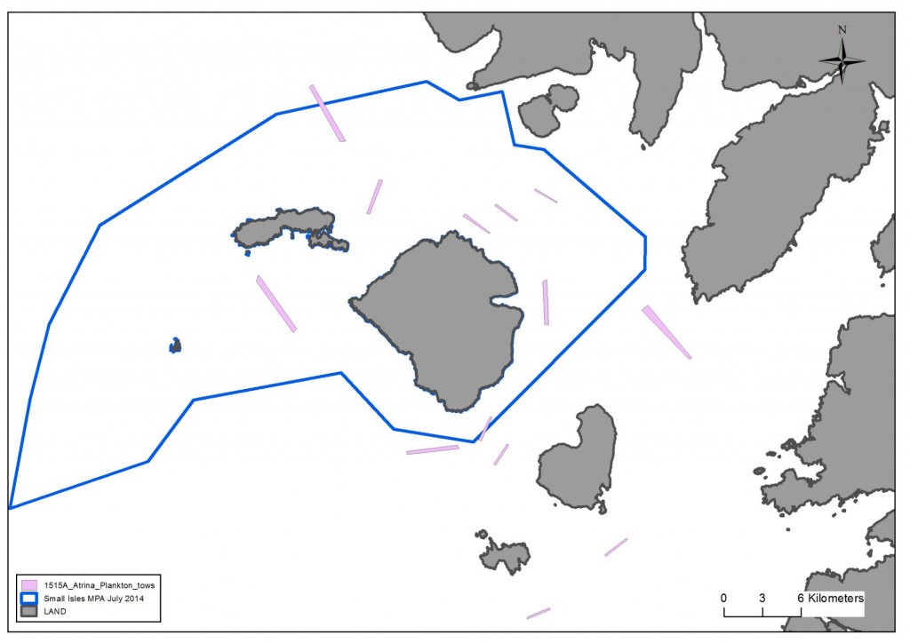 1515A Potential Plankton tows Figure 2a