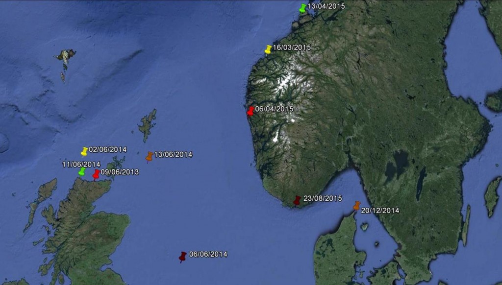 MiniPat Tag & date location