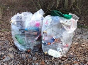 Bags of litter