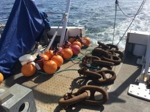 Deploying Acoustic receivers 