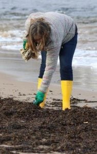 Beach cleaning