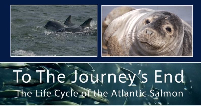 Journey's End banner