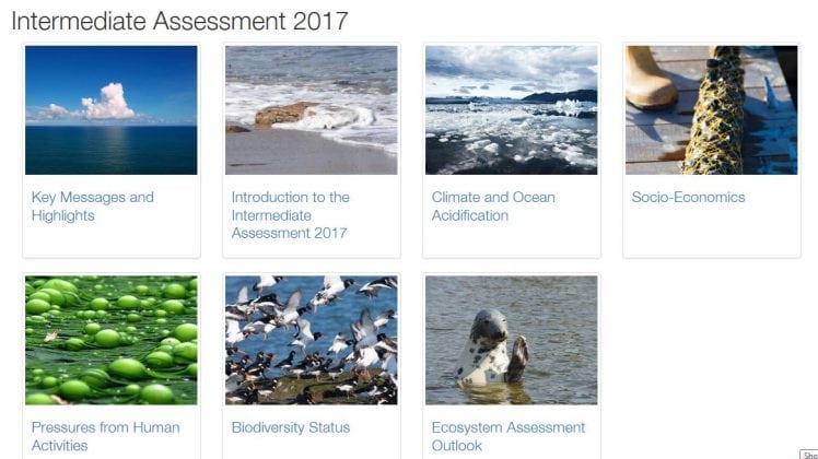Intermediate Assessment 2017
