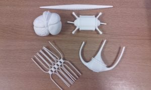 Phytoplankton models