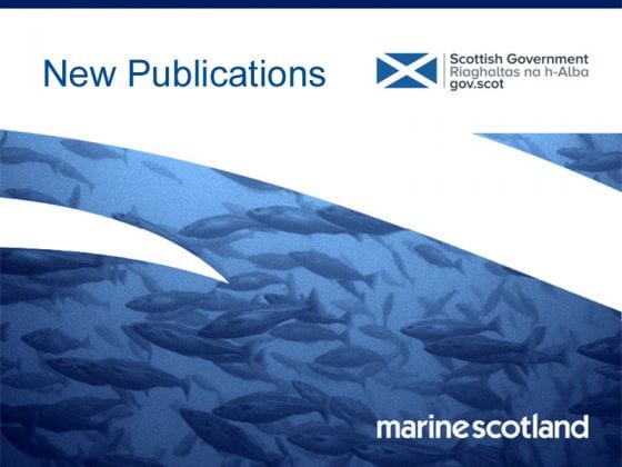 New Publications image