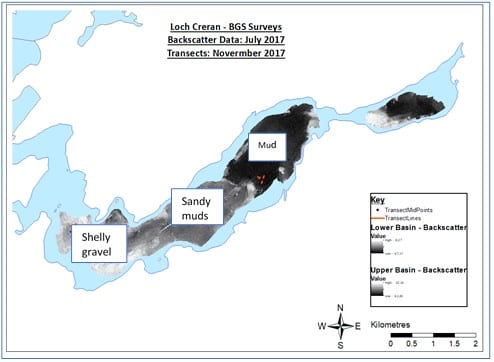 Acoustic backscatter data using a multi-beam echosounder from Loch Creran highlighting the variability in sediment type