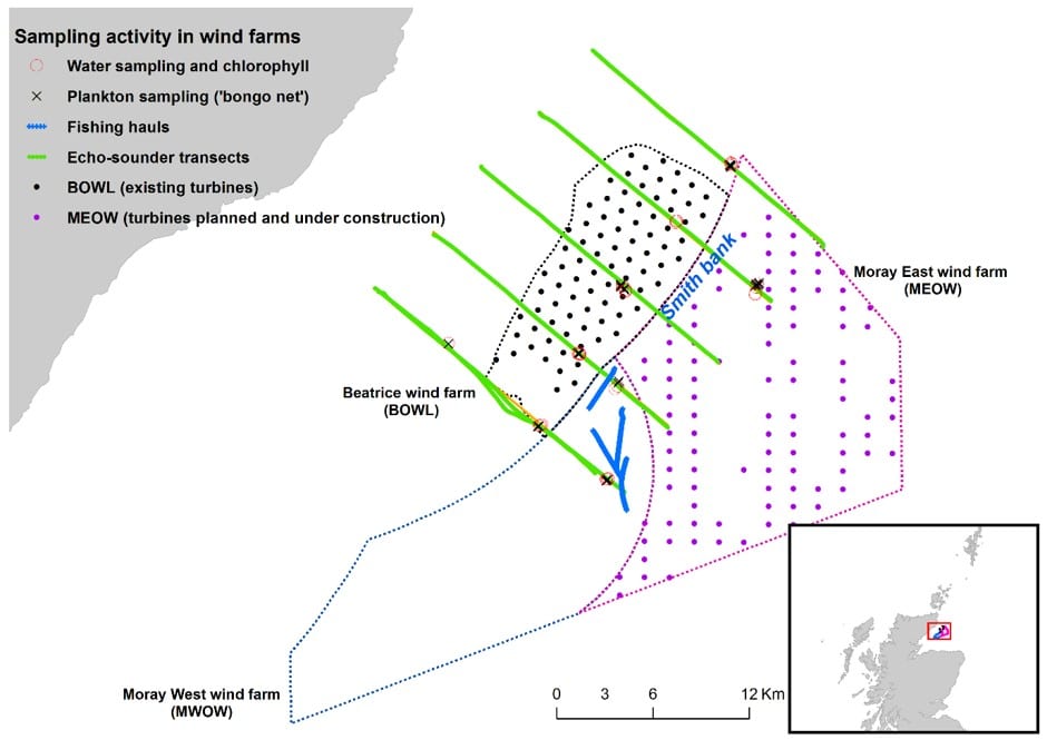 Figure 1: Location of the sampling/surveying activities completed during the 0919A survey