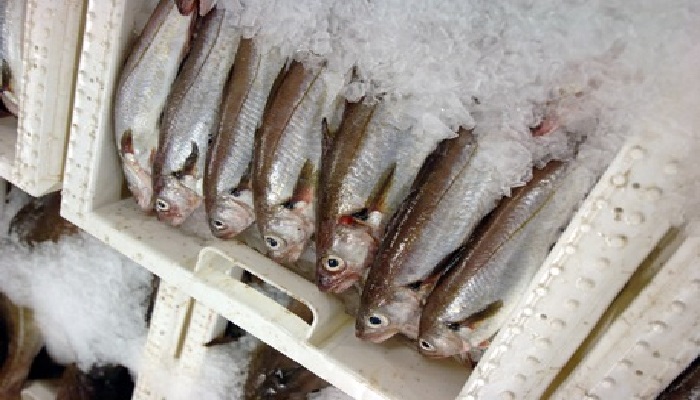 Image of whiting