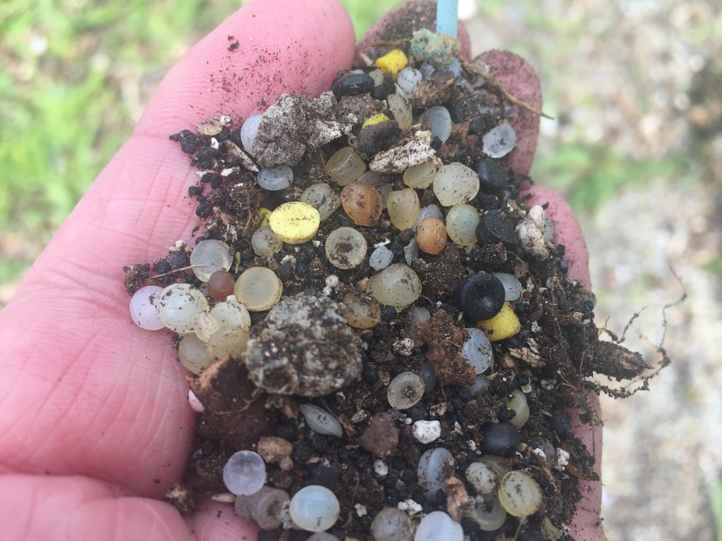 Nurdles in hand Crown copyright