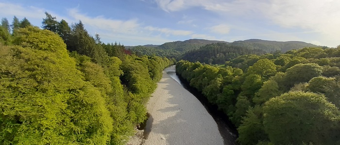 Mature riparian planting around river