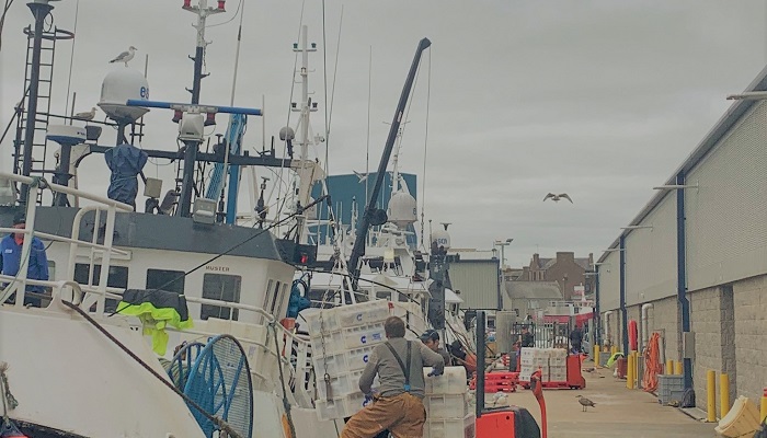 Boats at Peterhead harbour