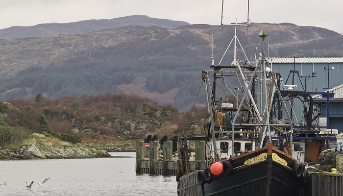Fishing boats, Tarbert harbour. Argyll.__© George Logan / NatureScot
