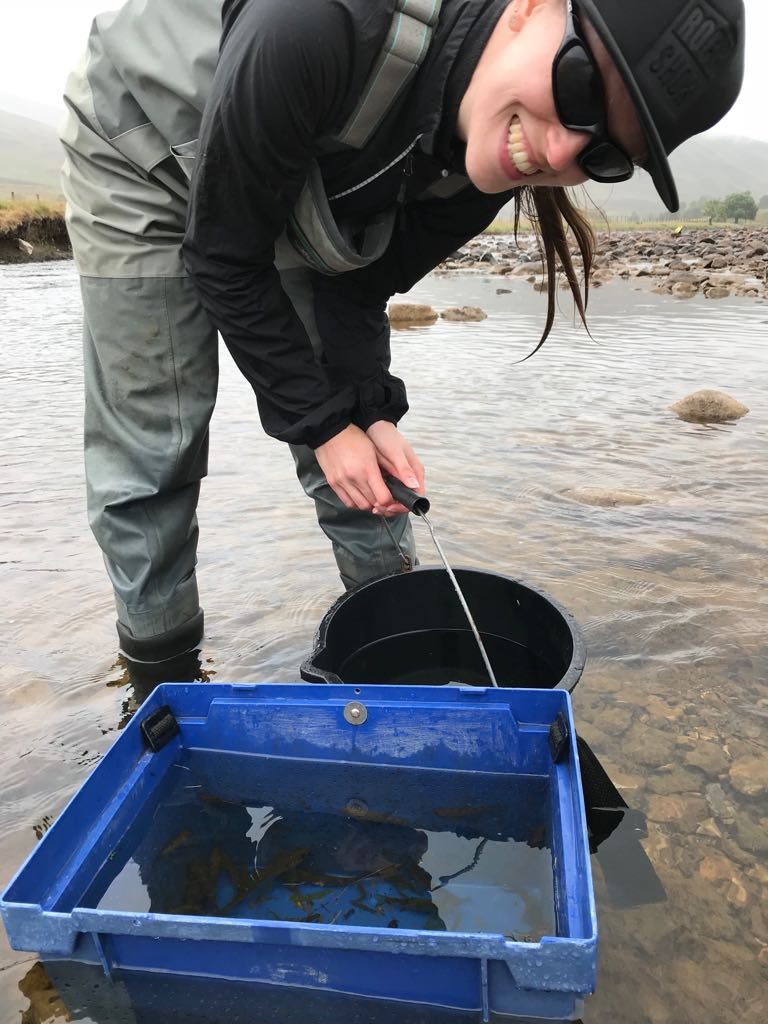 MS colleague out on fieldwork