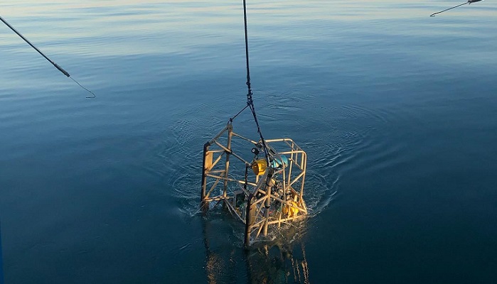 Nephrops underwater tv survey - August 2021