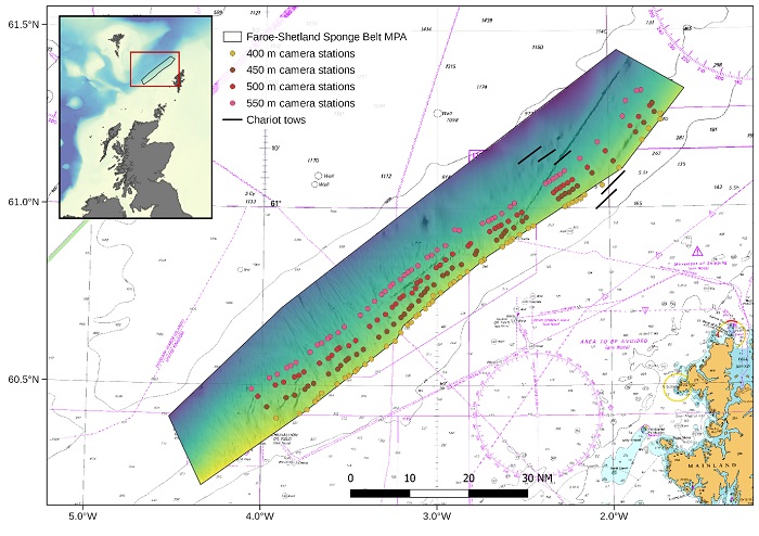 Figure 1 Map showing the location of the Faroe-Shetland Sponge Belt MPA and 1121S sampling stations