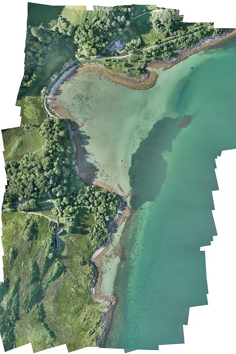 Project Seagrass - Loch Craignish
