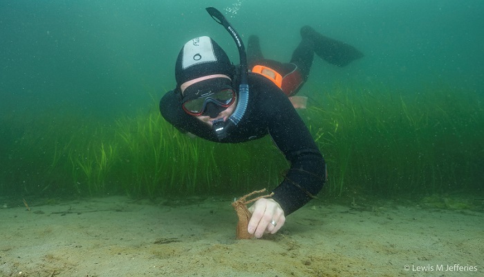 Project Seagrass - diver with hessian bag - copyright Lewis M Jeffries