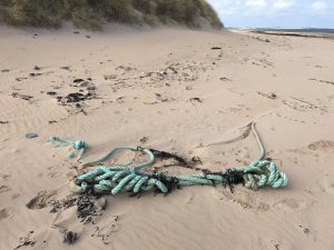 Discarded ropes on beach