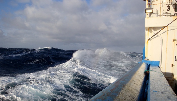 MS vessel and seascape
