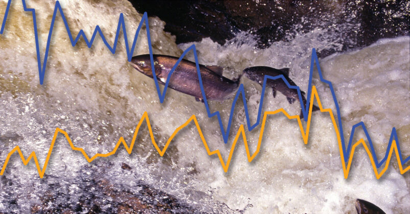 Three leaping with graphs lines in the foreground