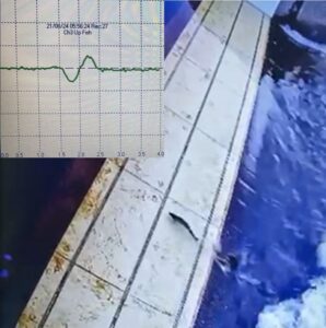 Overhead image of a sea trout crossing the weir, with inset image of the corresponding signal on the fish counter.