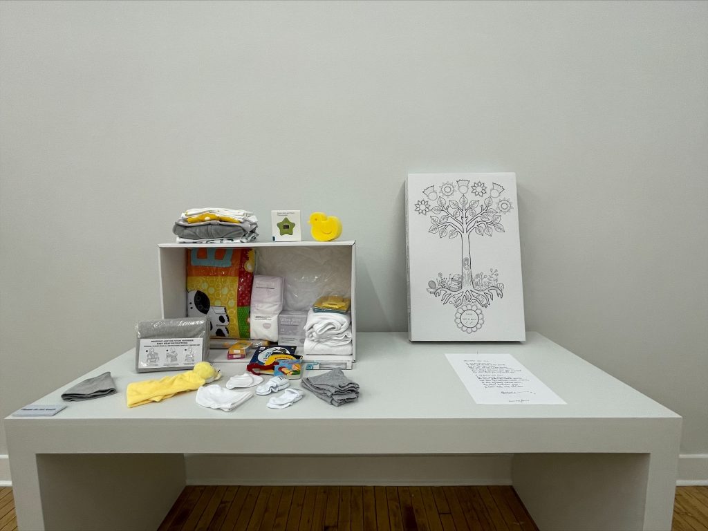 Scotland's Baby Box in situ