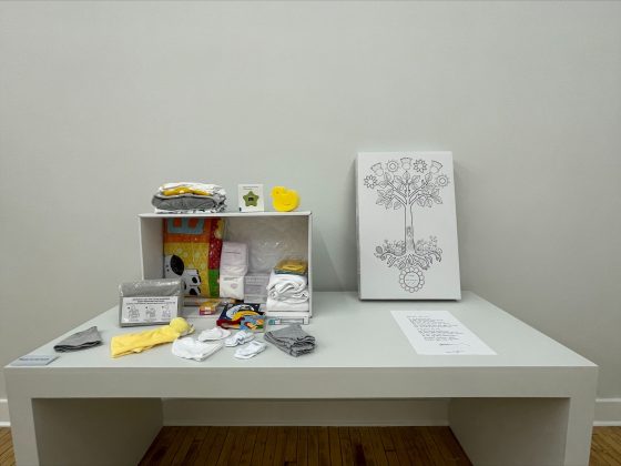 Scotland's Baby Box in situ