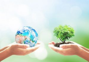 Earth and Tree