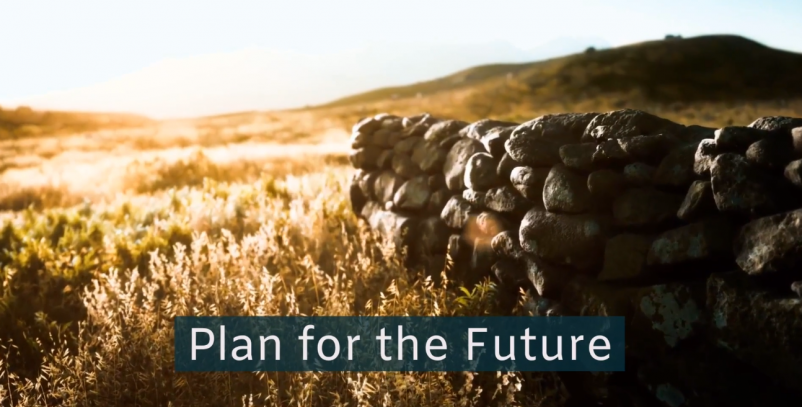 Plan for the Future