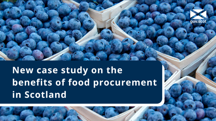 Decorative image of blueberries with text: new case study on the benefits of food procurement in Scotland