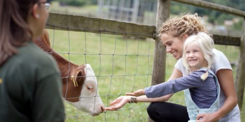 Picture of a farming family projecting families wellbeing. Mother and daughter are feeding a cow.